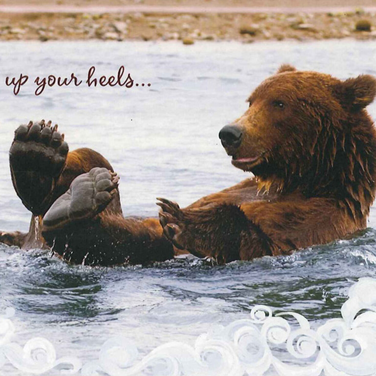 Kick Back and Relax Greeting Cards Hallmark