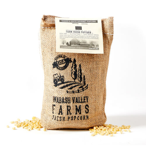 Amish White Popcorn